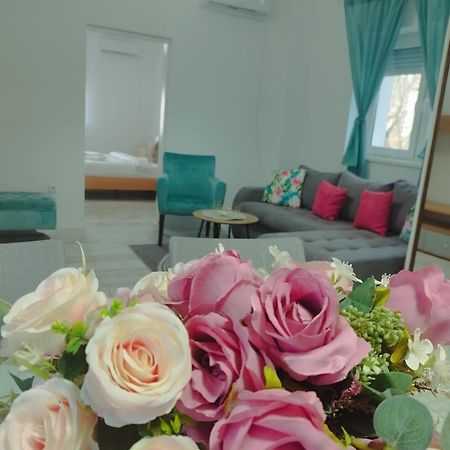 Apartman Radovic سميديريفو المظهر الخارجي الصورة