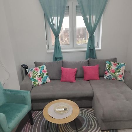 Apartman Radovic سميديريفو المظهر الخارجي الصورة